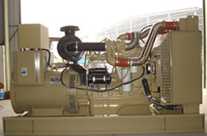 Cummins Generator Set (20~250kVA)