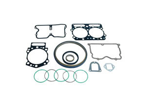 Oil Seal and Gasket Set